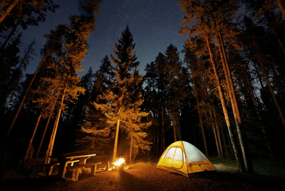 Dahlonega's Best Campgrounds