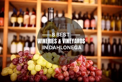 The 8 Best Dahlonega Wineries & Vineyards